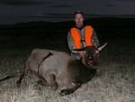 40 Shawn 2009 Elk